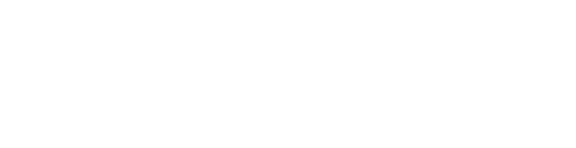 Logo-topeventsfsy